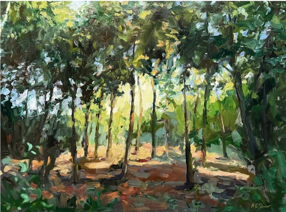 Screenshot 2026-01-01 173319