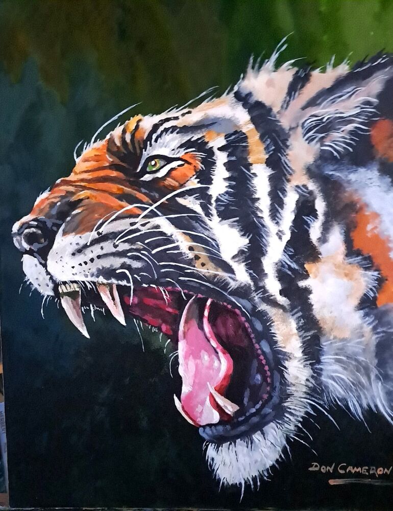 thumbnail_20251229_144341