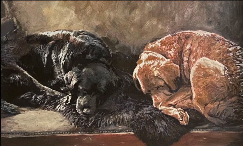 Screenshot 2026-01-19 235404