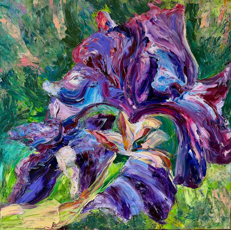 ffs0626-77-the-black-iris-allotment-norwich-oil-on-canvas-80x80cm-by-artist ffs0626-77-the-black-iris-allotment-norwich-oil-on-canvas-80x80cm-by-artist