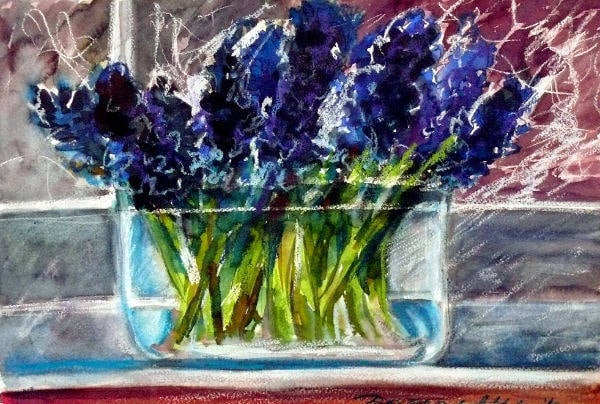 hyacinth in a bowl