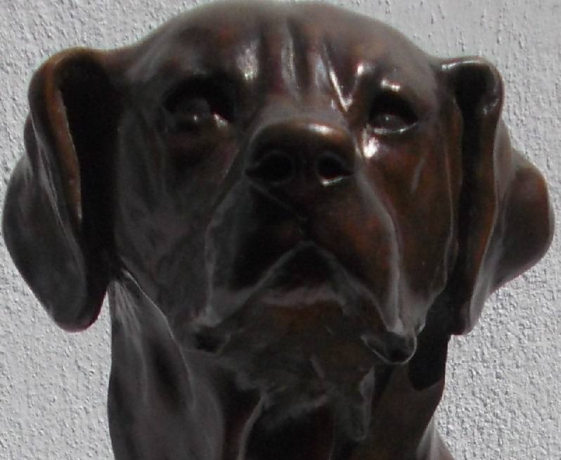 LABRADORR11111111
