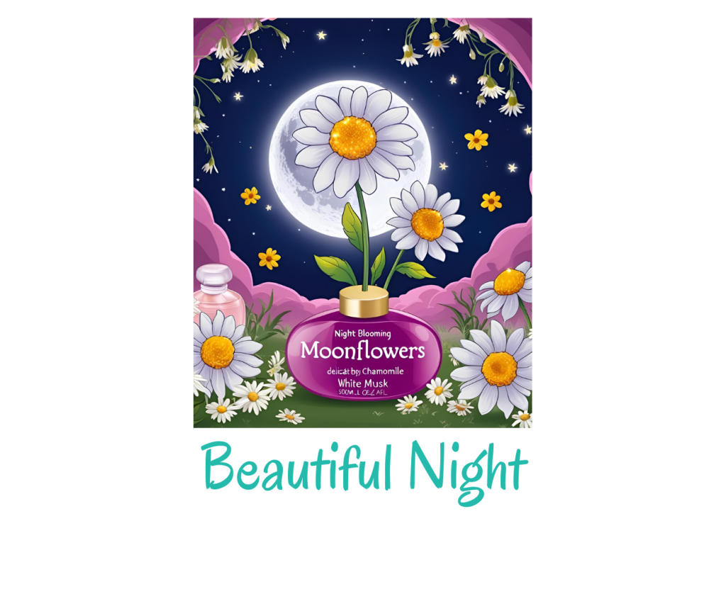 Beautiful Night