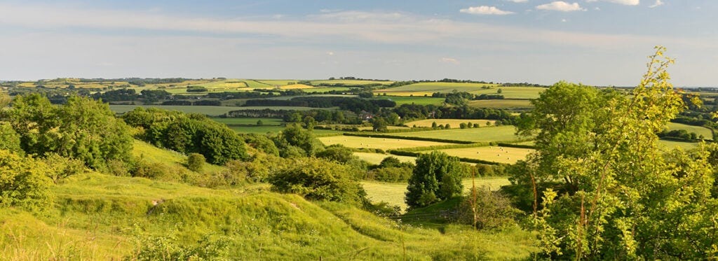 Red-Hill-1024x373.jpg
