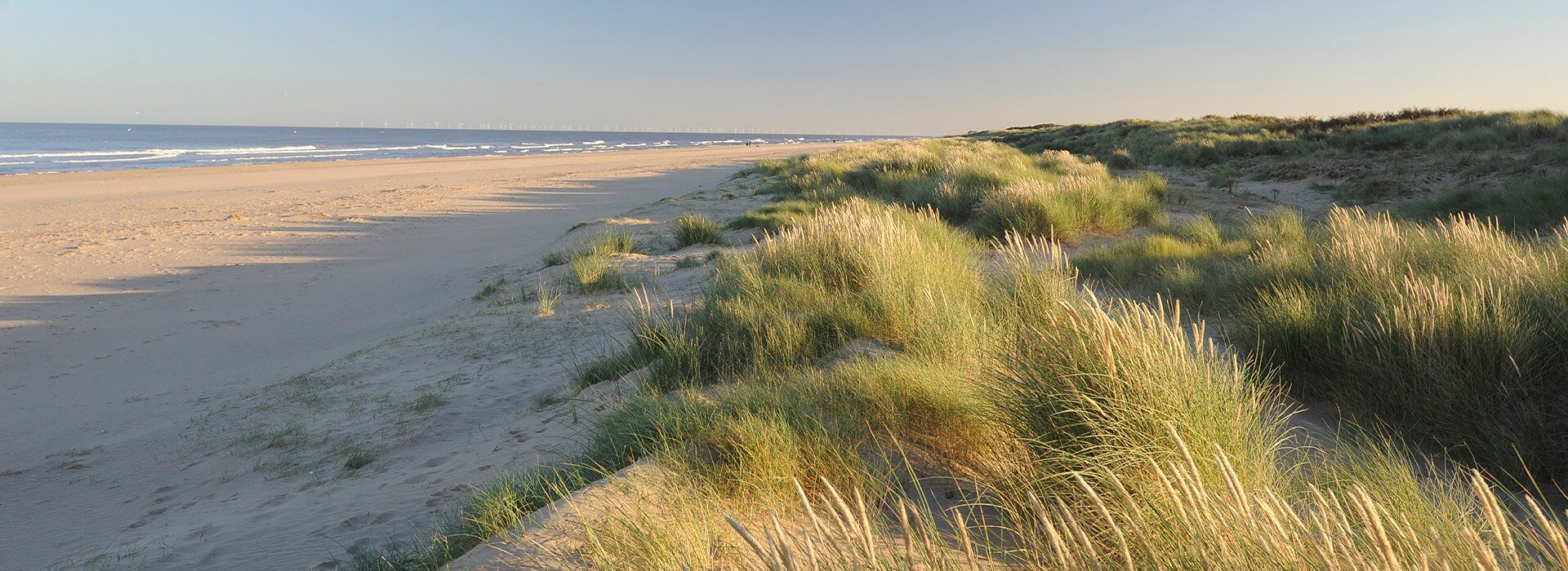 theddlethorpe-dunes.jpg
