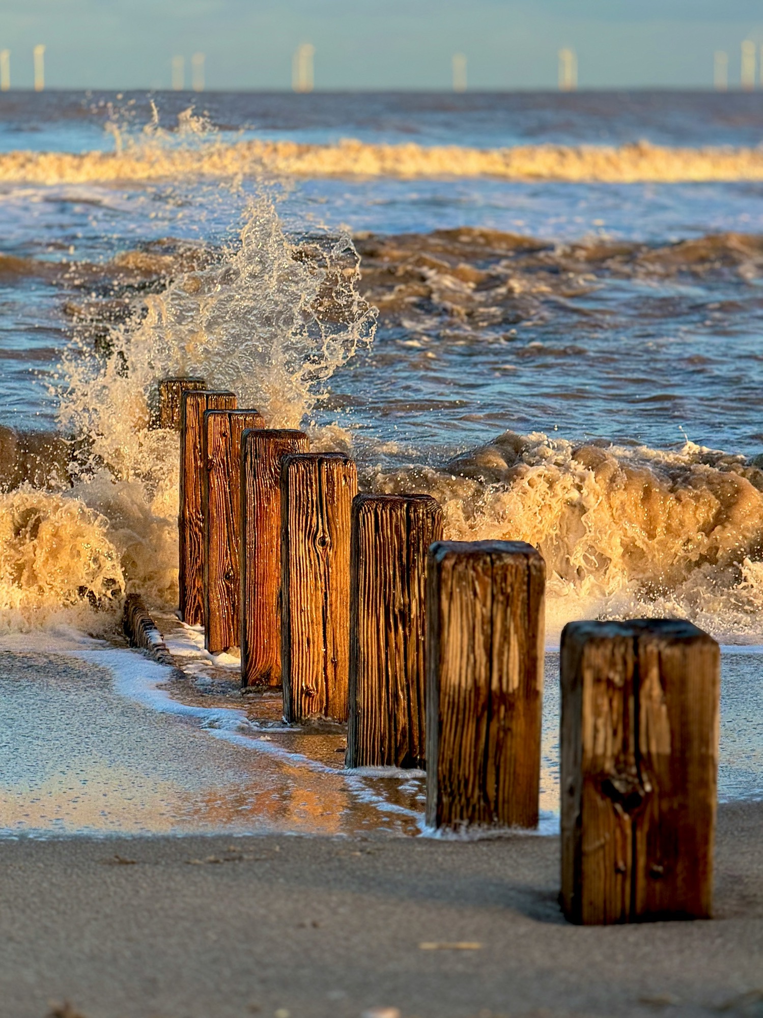 a-group-of-wooden-posts-sitting-on-top-of-a-beach-9EjiCJrWtQw