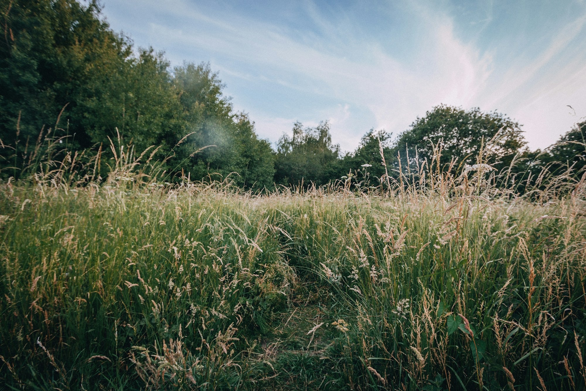green-grass-field-during-daytime-YVEbeCwT-jw