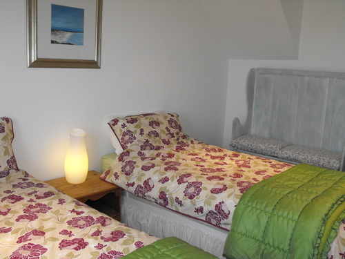Blossom Cottage - Twin Bedroom view b