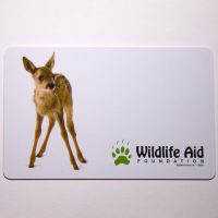 Gift Card - Treatment for an Injured Fawn 