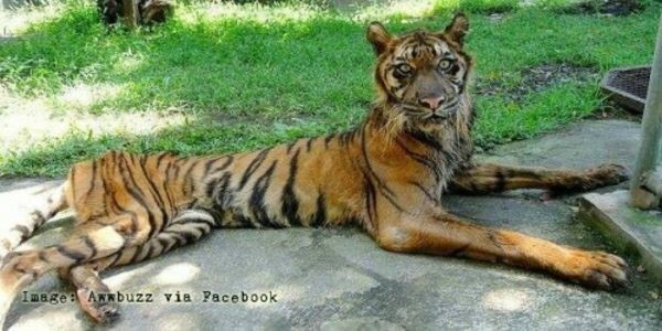 Please sign this petition to help the animals in the zoo in Venezuela