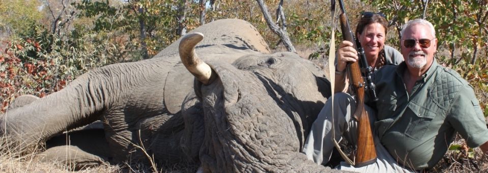 Stop Trump's elephant slaughter