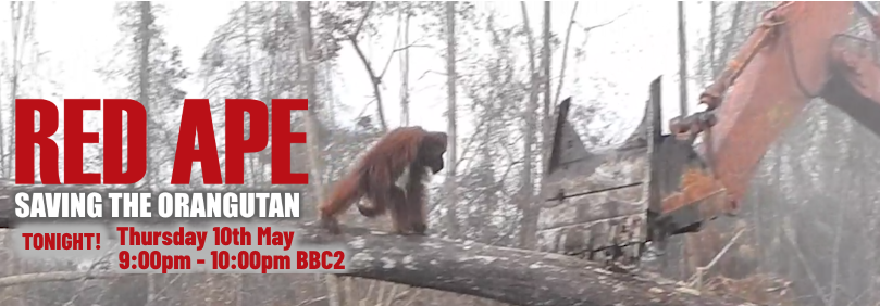 Red Ape: the BBC2