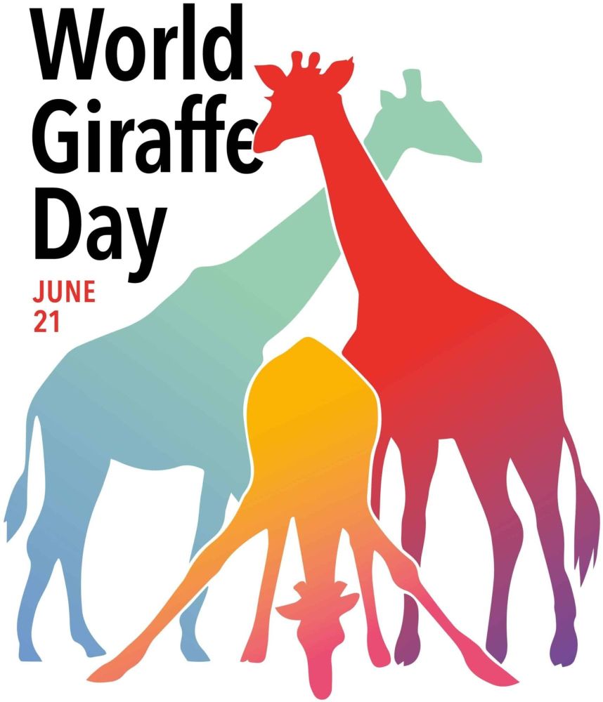 World Giraffe Day is on 21st June
