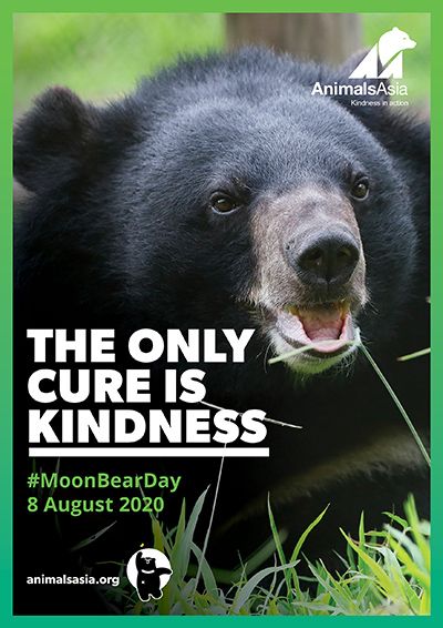 There are posters you can download for #MoonBearDay