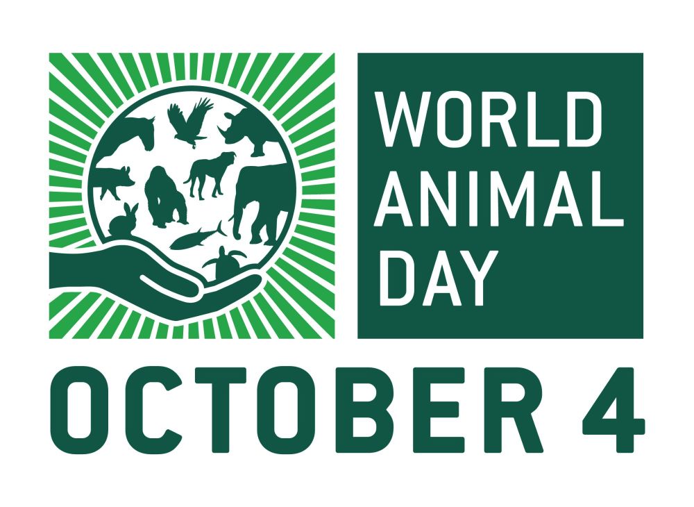 World Animal Day is on 4th October - Find out more