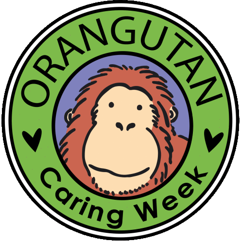 Orangutan Caring Week is 8 - 14 November 2020