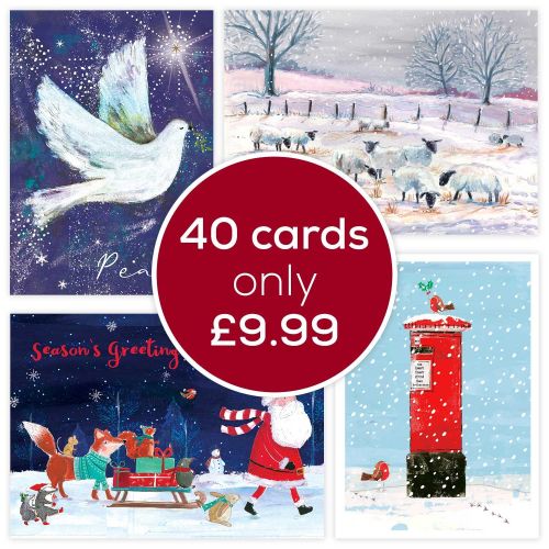 Looking for wildlife charity Christmas cards? Here are a few wildlife