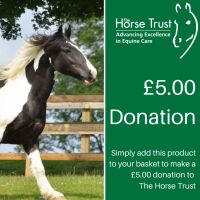 Help the Horse Trust care for horses and donkeys who have served the nation
