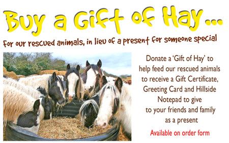 Buy a Gift of Hay for rescued animals