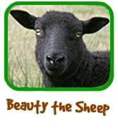 You could also adopt Beauty the Sheep as a gift