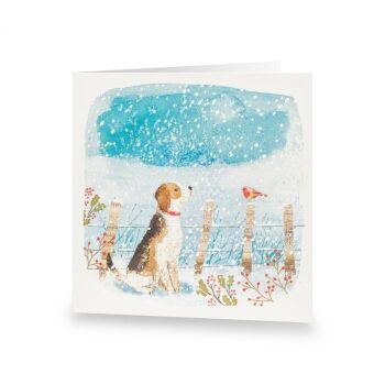 This is the Christmas Friends Christmas Cards, Pack of 10