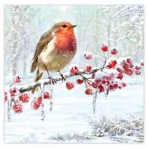 The Icy robin Christmas cards come in a pack of 10
