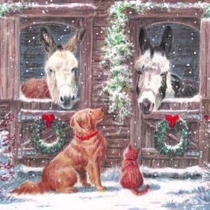 Trot away to look at the Christmas cards available at Bransby Horses