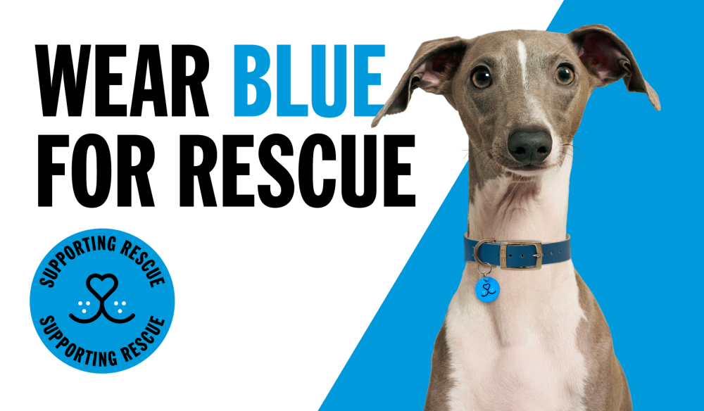 Wear Blue for Rescue!