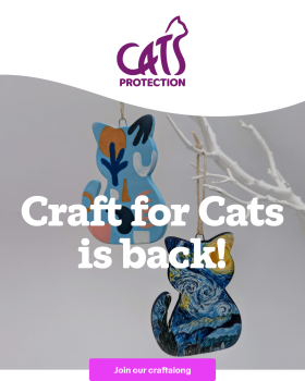 Find out more about Craft for Cats with Cats Protection