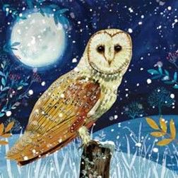 The RSPB has some lovely Christmas cards