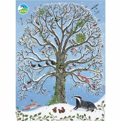 This is the RSPB's Picture Advent Calendar