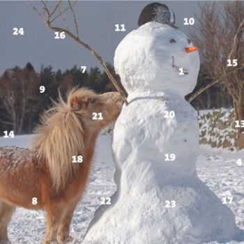 This Advent Calendar is from World Horse Welfare