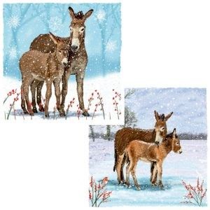 Take a look at SPANA's Christmas cards here.