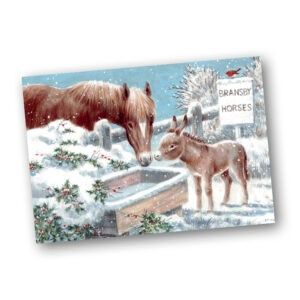 See the Christmas cards from Bransby Horses here.