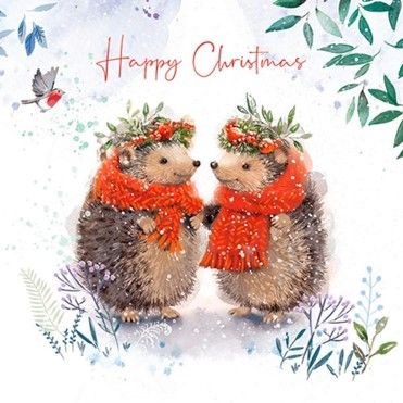 This gorgeous card is available from the British Hedgehog Preservation Society