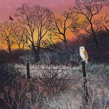 The RSPB has lovely Chrsitmas cards, including this one featuring a Barn Owl