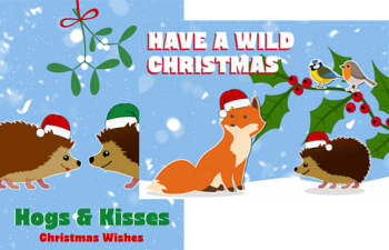 The Brent Wood Wildlife Hospital has Christmas cards and also gifts!