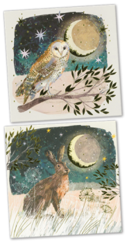 Take a look at the Christmas cards from the Hillside Animal Sanctuary Gift Shop here
