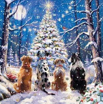 This is the delightful Waiting For Santa Advent Calendar This is the delightful Waiting For Santa Advent Calendar