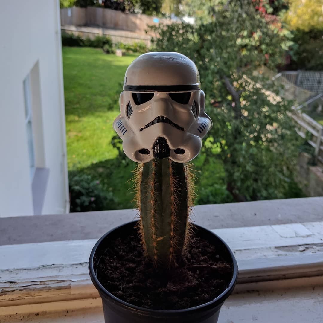 42068660_1172980659525333_1759420940446718152_n