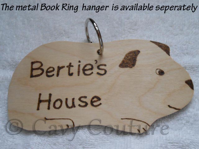 Handmade Wooden Guinea Pig shaped personalised cage name plaque