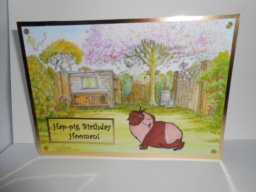 'Happy Birthday Hooman' ' 7x5 inches Handmade Guinea Pig Birthday Card