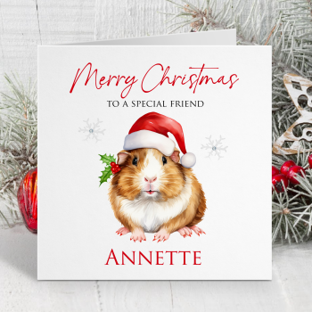 Christmas Guinea Pig (1)