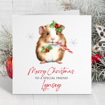 Christmas Guinea Pig (2)