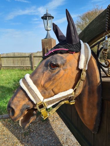 Glitter headcollar