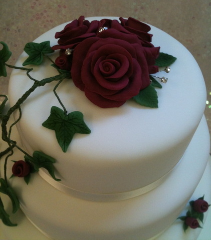 red rose & Ivy red rose & Ivy