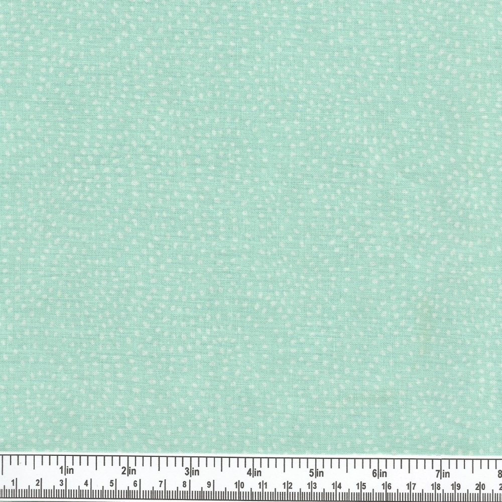 Dashwood Studio's Twist 1155 Mint