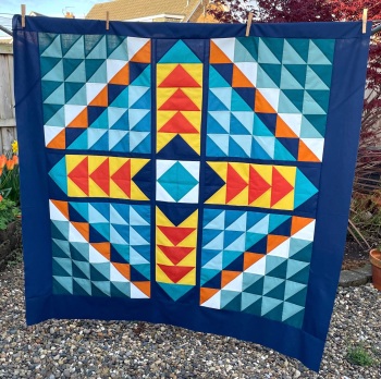 Birds of a Feather Quilt kit in Spectrum Solids