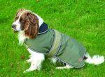 Insulated Dog Coat 7 Sizes Available 