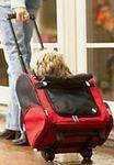 Pet Trolley/ Backpack 